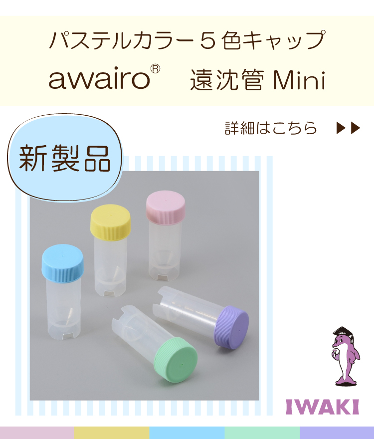 Slide 7